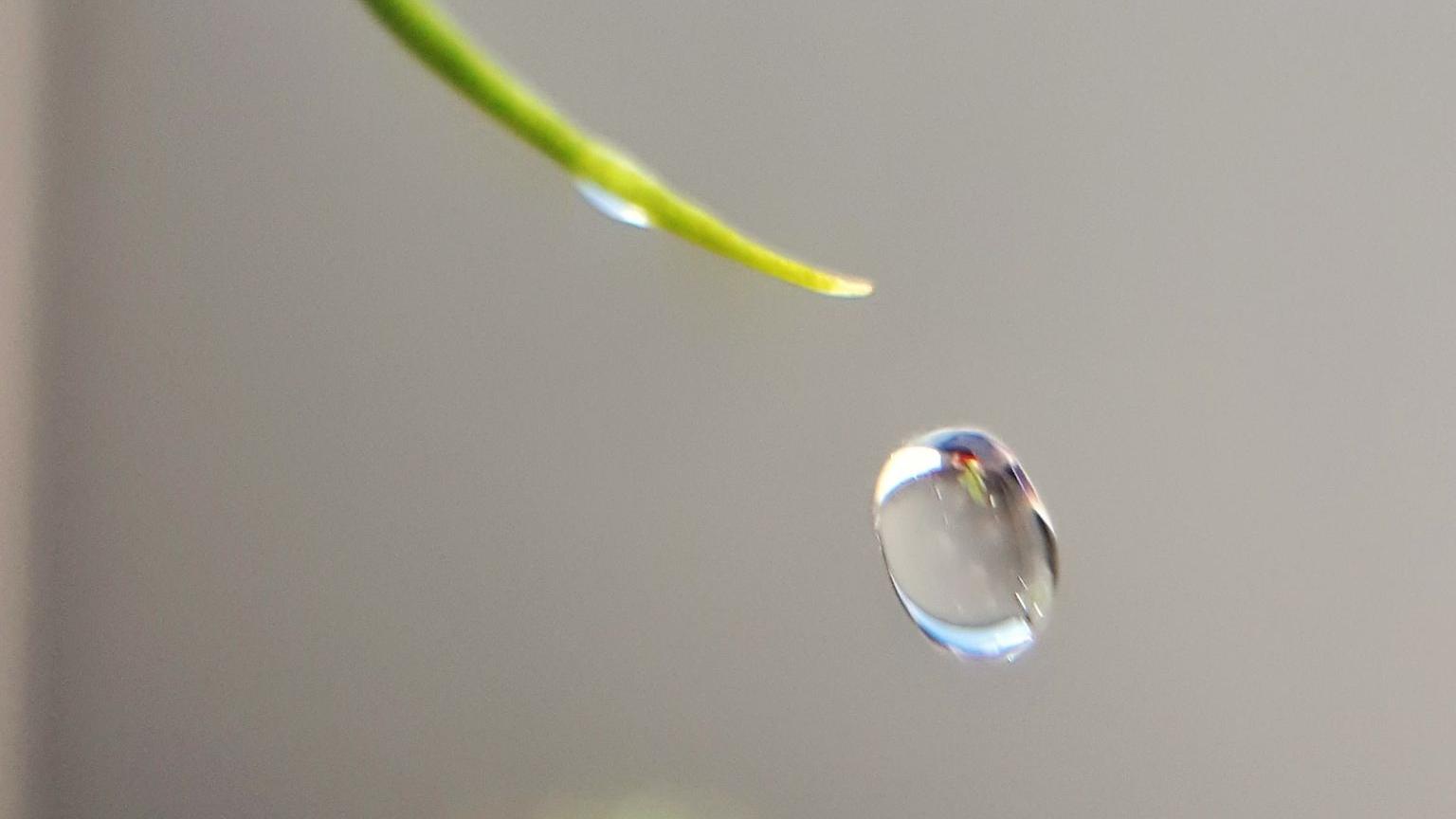 Comme une goutte d'eau qui glisse lentement, le Yin Yoga nous invite à la détente profonde et à la fluidité du mouvement. Cette pratique apaisante cible les tissus profonds et libère les tensions accumulées. Plongez dans une expérience douce et fluide, telle une goutte d'eau qui se fond avec la nature.